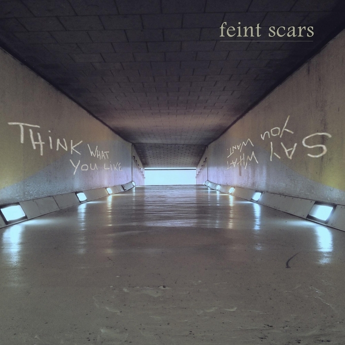 FEINT SCARS - Think What You Like. Say What You Want.