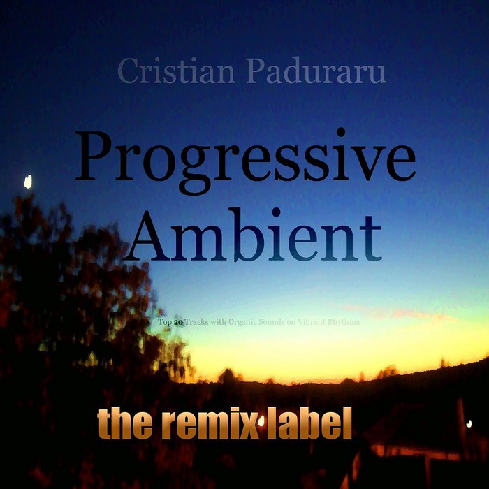 YESITIVE/CRISTIAN PADURARU - Progressive Ambient (Top 20 Tracks With Organic Sounds On Vibrant Rhythms)