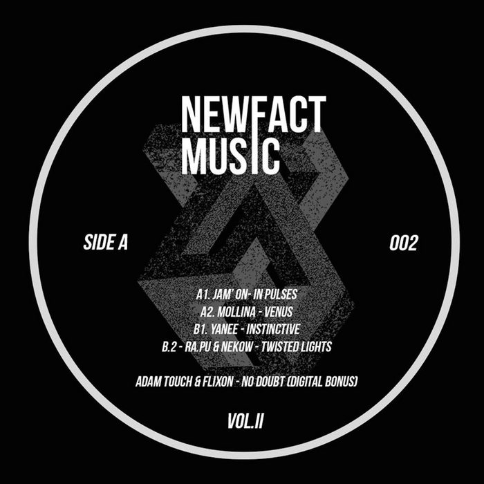 VARIOUS - Newfact Music Vol 2