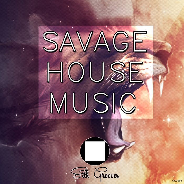 VARIOUS - Savage House Music