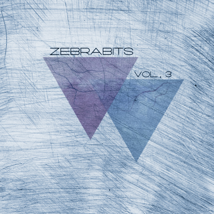VARIOUS - Zebrabits Vol 3