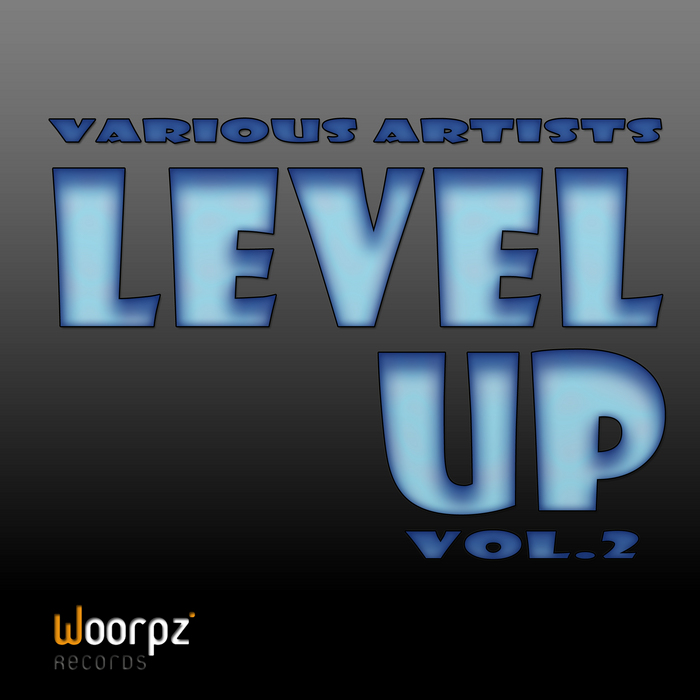 VARIOUS - Level Up Vol 2