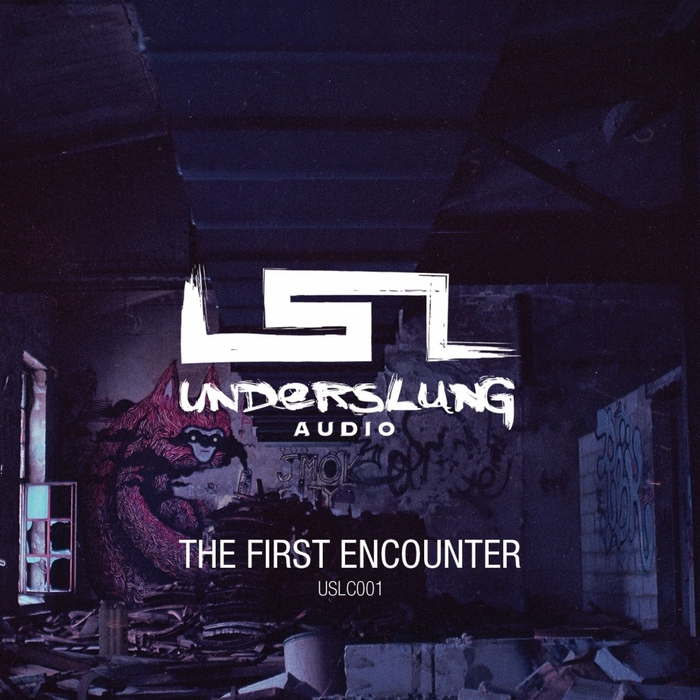 VARIOUS - The First Encounter