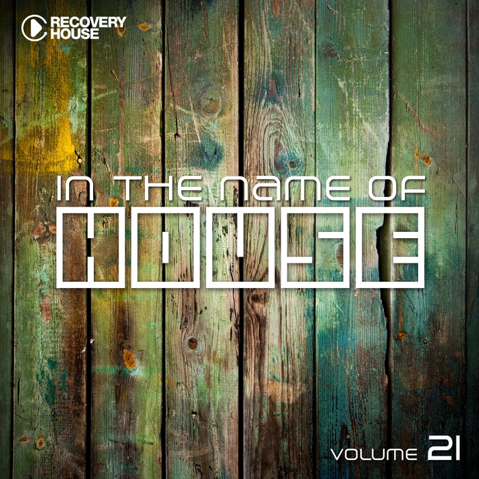VARIOUS - In The Name Of House Vol 21