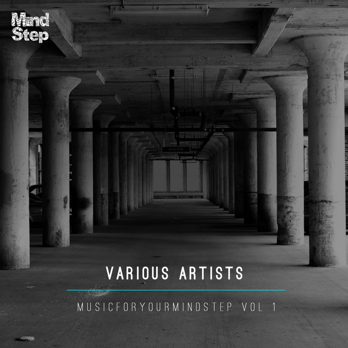 VARIOUS - MusicForYourMindStep Vol 1