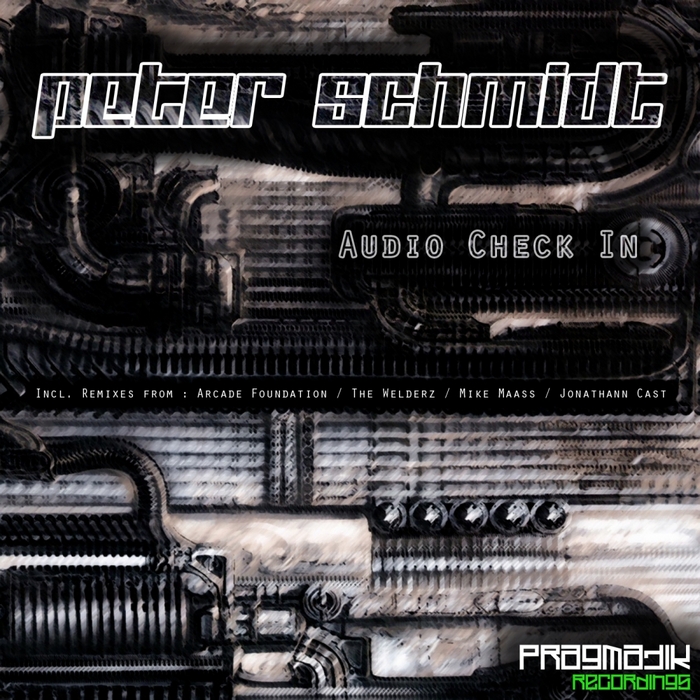 SCHMIDT, Peter - Audio Check In