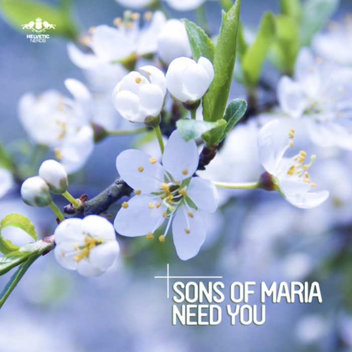SONS OF MARIA - Need You