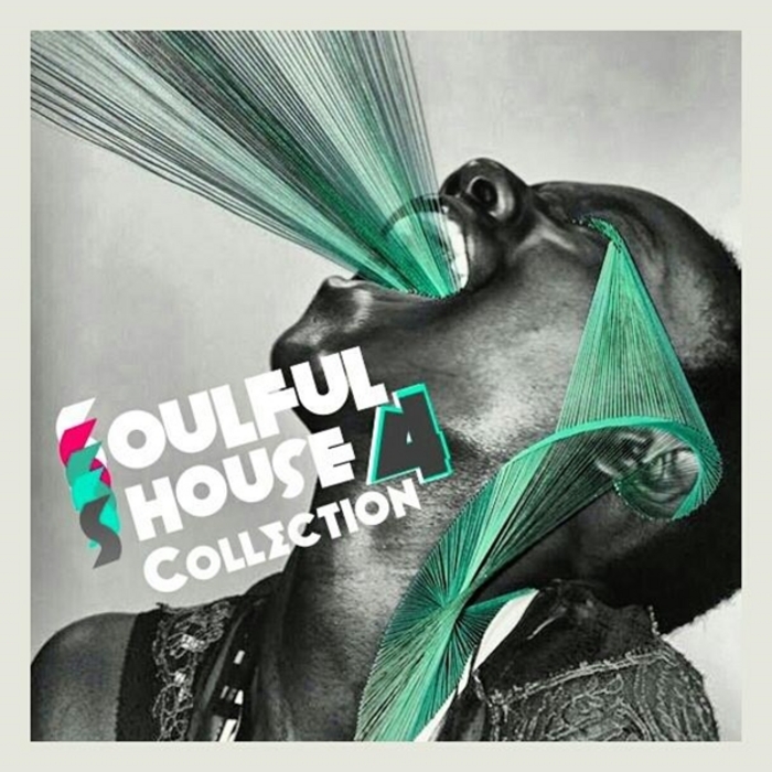 VARIOUS - Soulful House Collection Vol 2