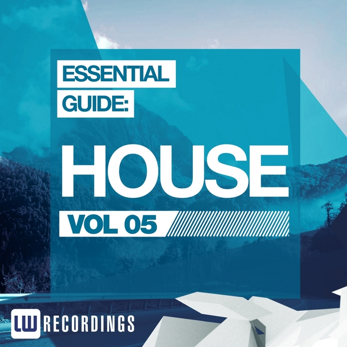 VARIOUS - Essential Guide: House Vol 05