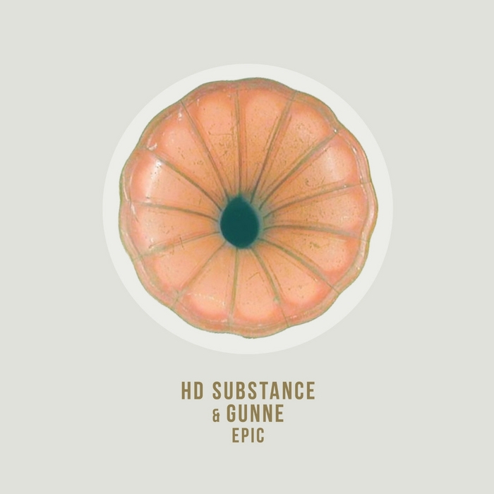 HD SUBSTANCE/GUNNE - Epic