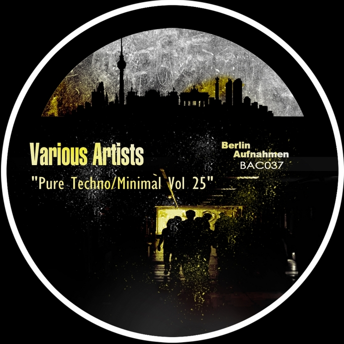 VARIOUS - Pure Techno/Minimal Vol 25