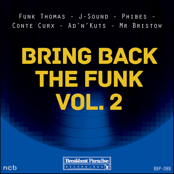 VARIOUS - Bring Back The Funk Vol 2