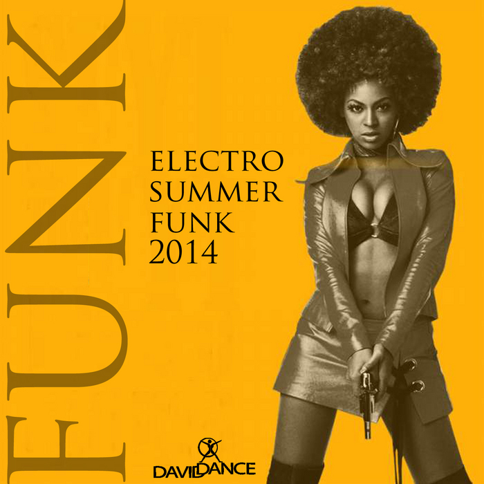 VARIOUS - Electro Summer Funk 2014