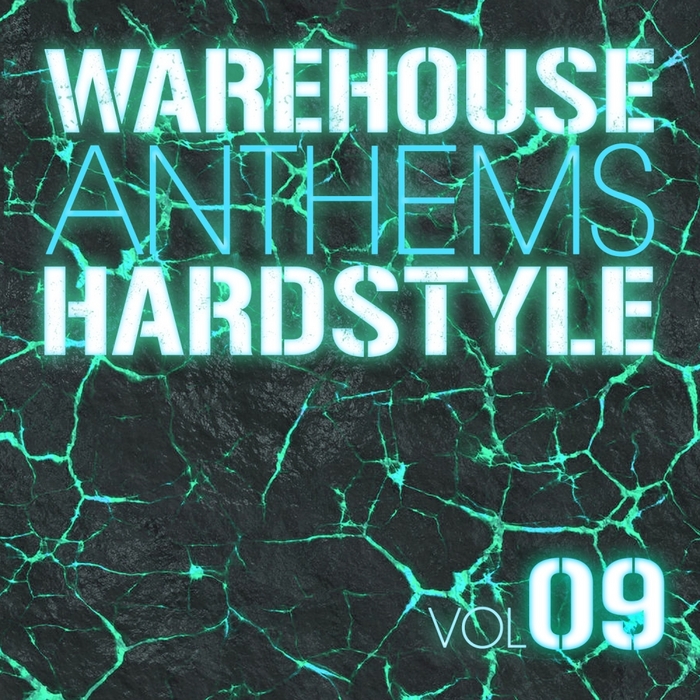 VARIOUS - Warehouse Anthems: Hardstyle Vol 8