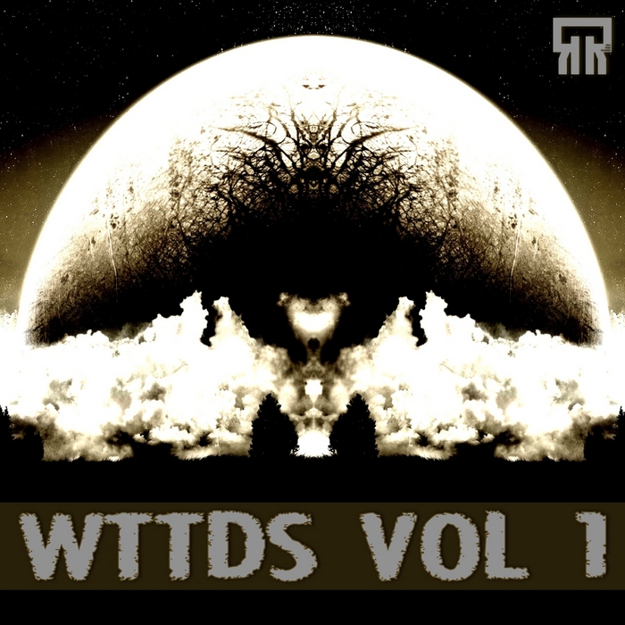 VARIOUS - WTTDS Vol 1