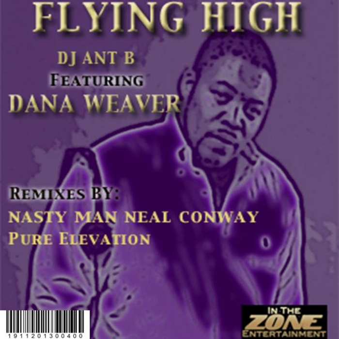 DJ ANT B - Flying High