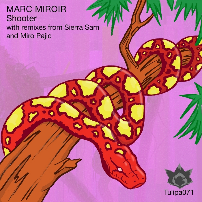 MIROIR, Marc - Shooter