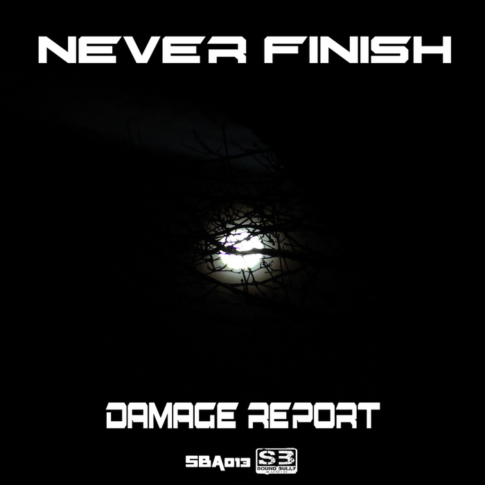 DAMAGE REPORT - Never Finish