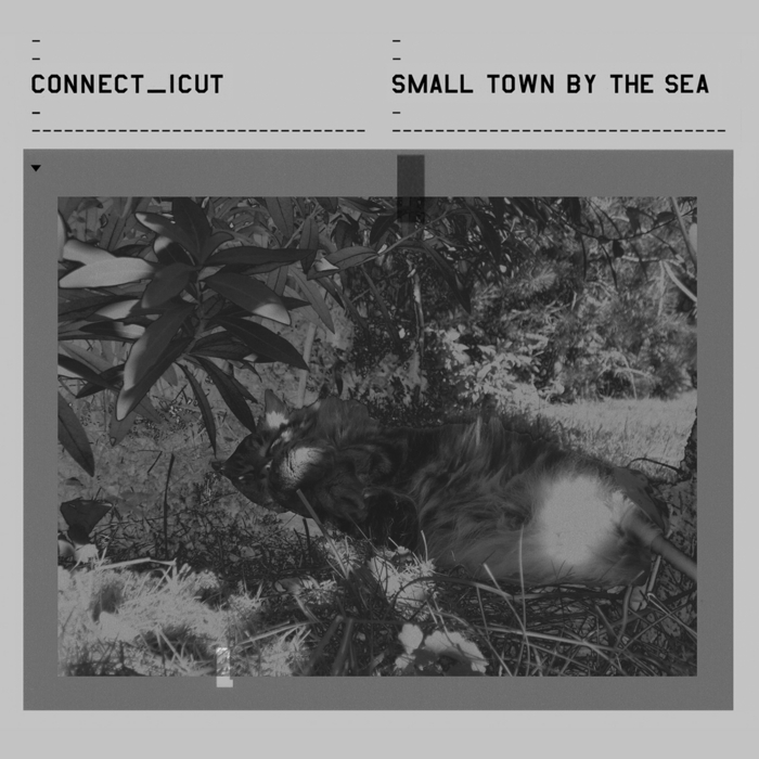 CONNECT ICUT - Small Town By The Sea
