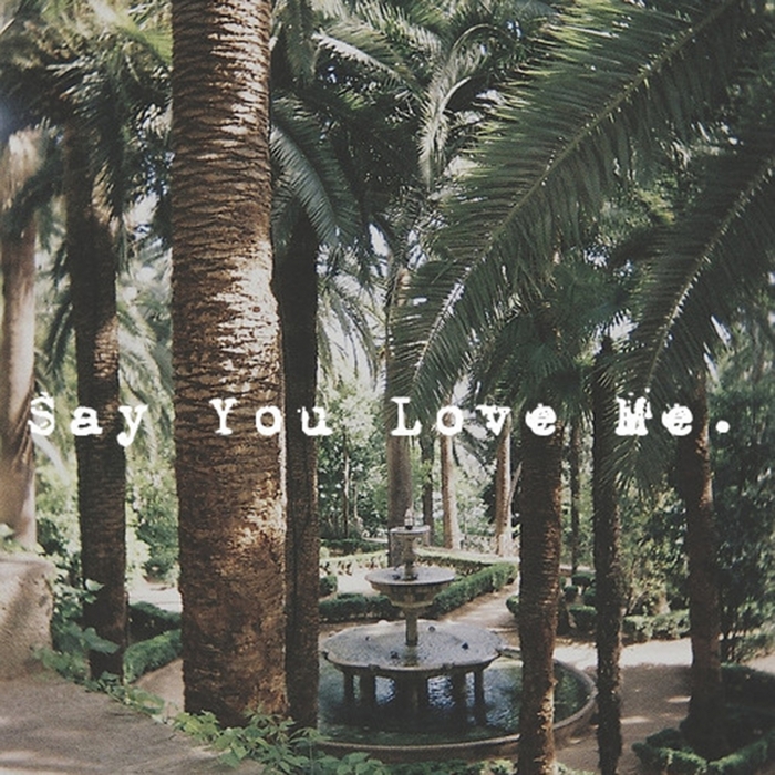 BASS KID - Say You Love Me