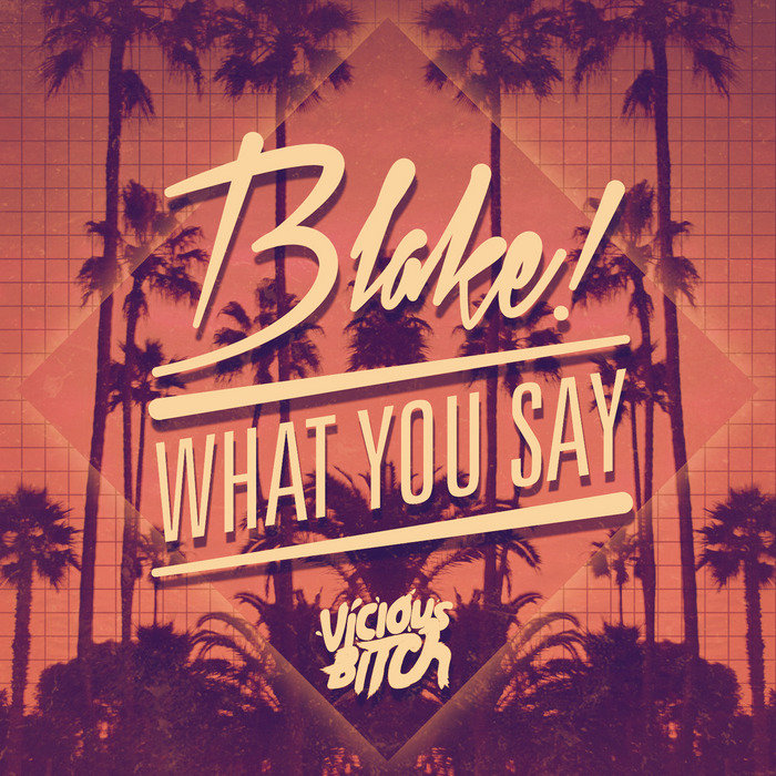 BLAKE - What You Say