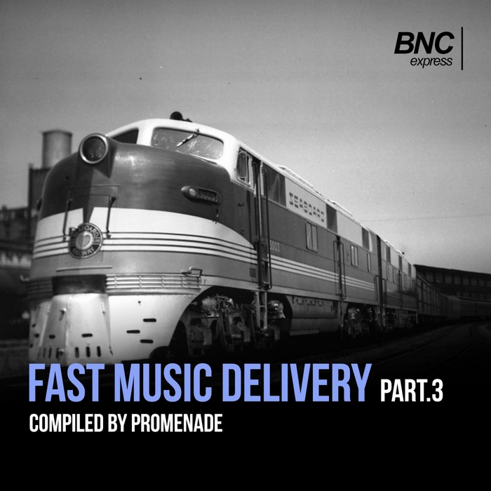 VARIOUS - Fast Music Delivery Part 3