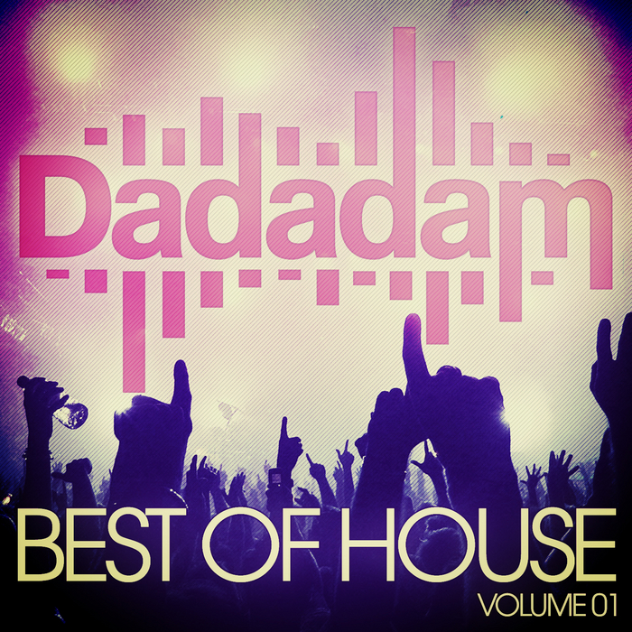 VARIOUS - Dadadam Best Of House Vol 1