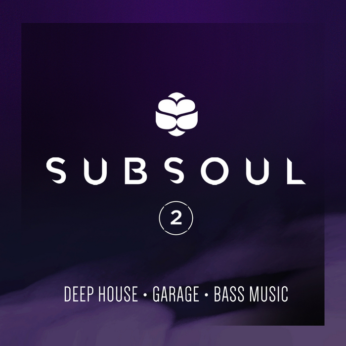 VARIOUS - SubSoul Vol 2: Deep House, Garage & Bass Music