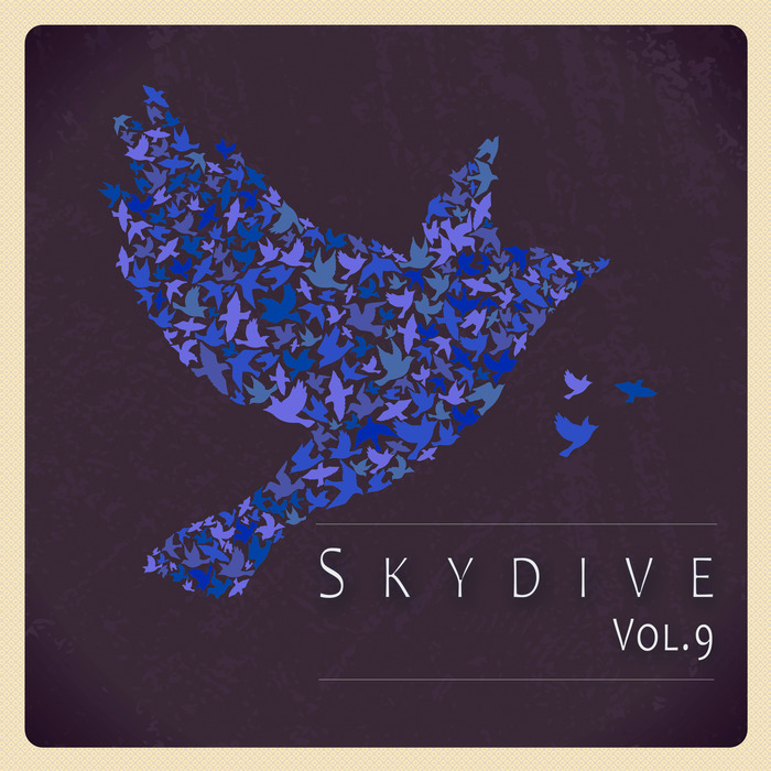 VARIOUS - Skydive Vol 09