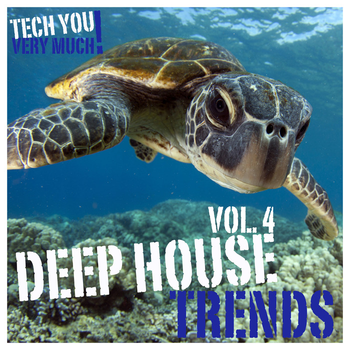 VARIOUS - Deep House Trends Vol 4