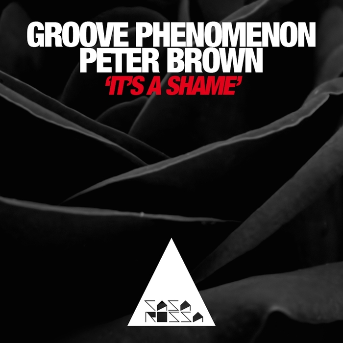 BROWN, Peter/GROOVE PHENOMENON - It's A Shame
