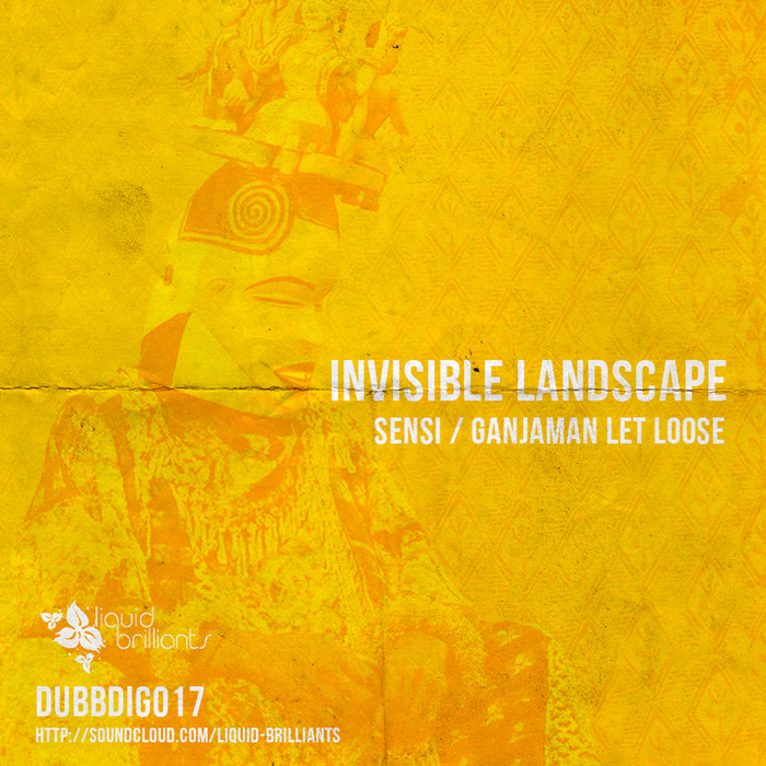 INVISIBLE LANDSCAPE - Dubwise Brilliants Vol 17