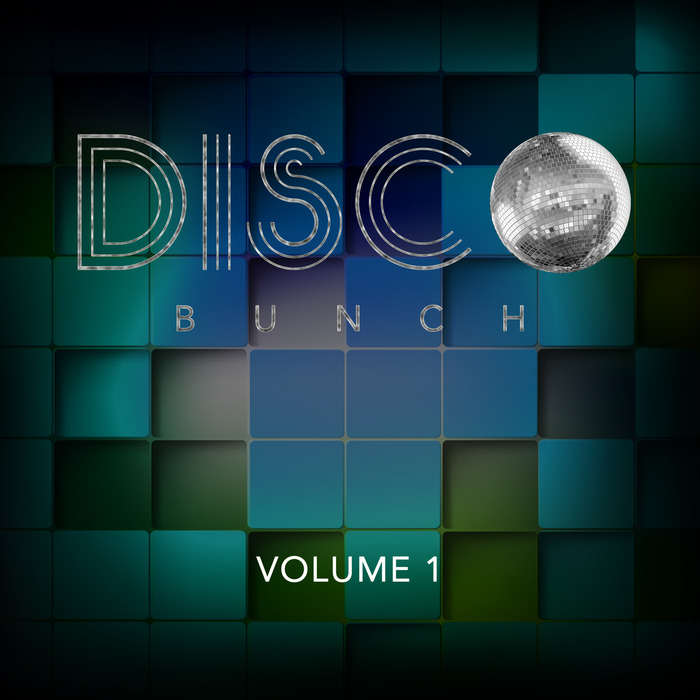 VARIOUS - Disco Bunch Vol 1