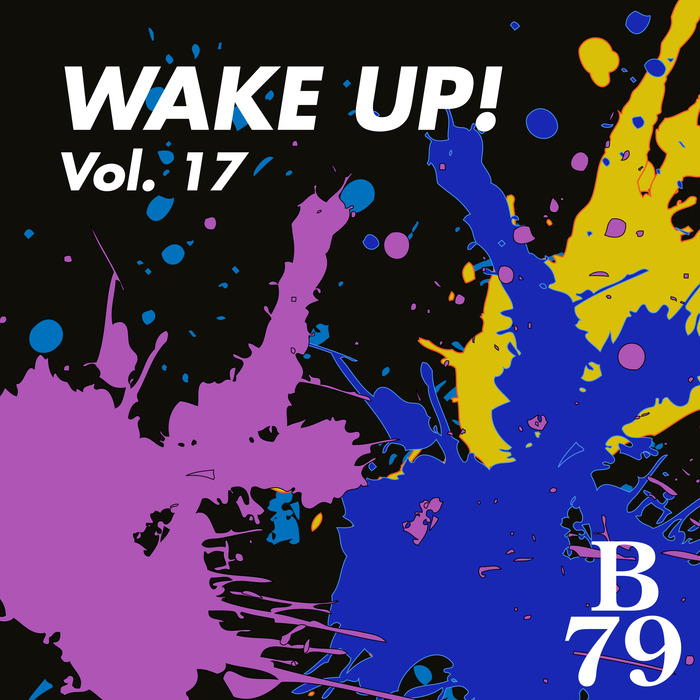 VARIOUS - Wake Up! Vol 17