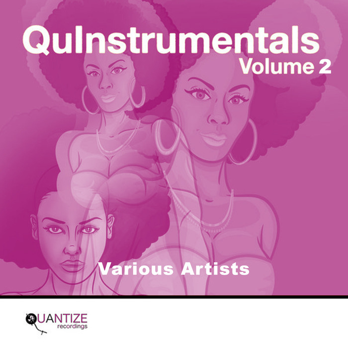 VARIOUS - Quantize QuInstrumentals Volume 2