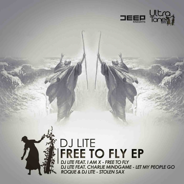 DJ LITE/I AM X/ROUGE/CHARLIE MINDGAMES - Free To Fly EP