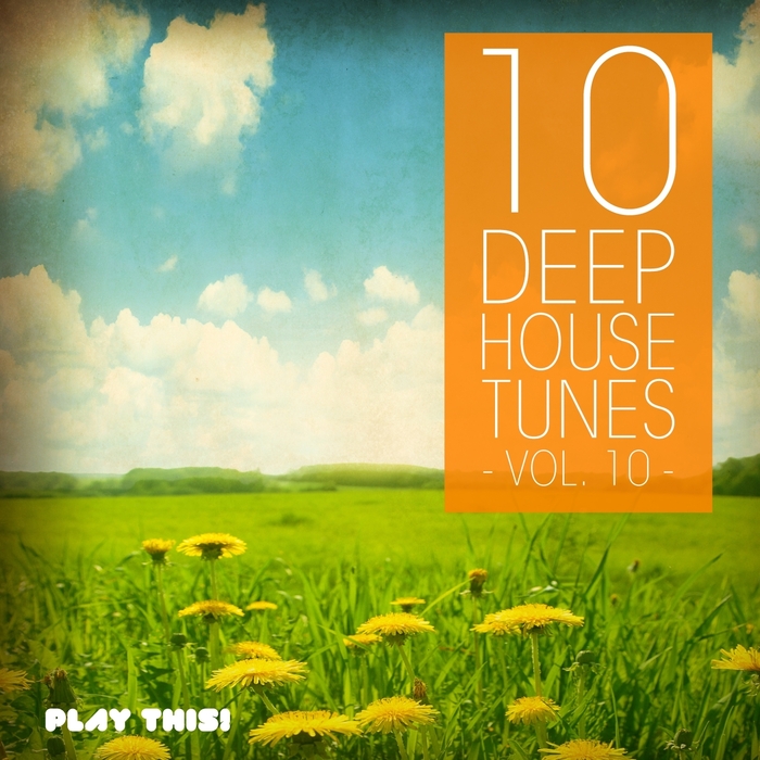 VARIOUS - 10 Deep House Tunes Vol 10