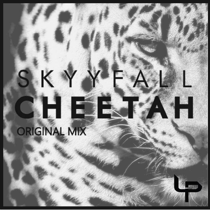 SKYYFALL - Cheetah