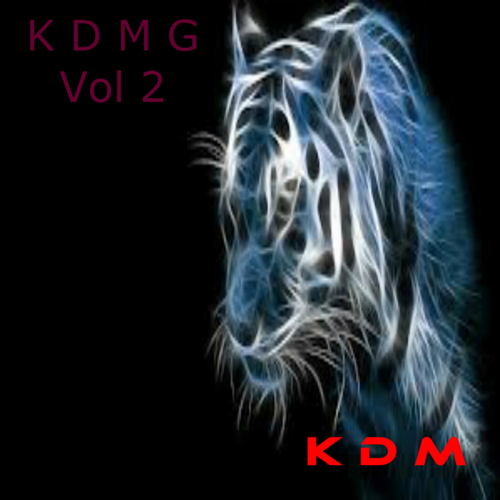 VARIOUS - Kingdom Digital Music Group Project Vol 2