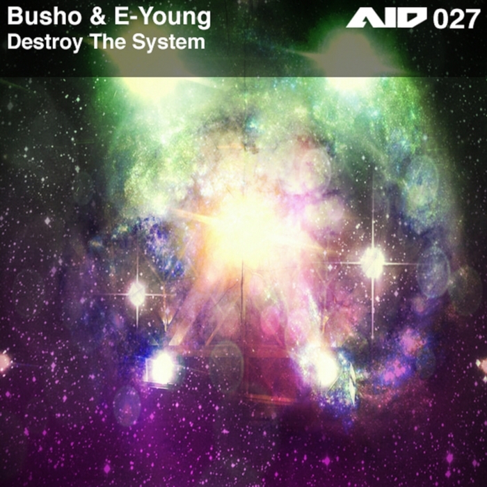BUSHO/E YOUNG - Destroy The System