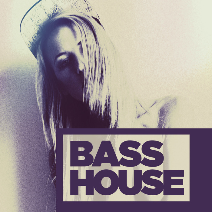 VARIOUS - Bass House 2014