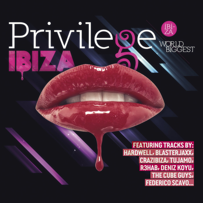 VARIOUS - Privilege Ibiza 2014