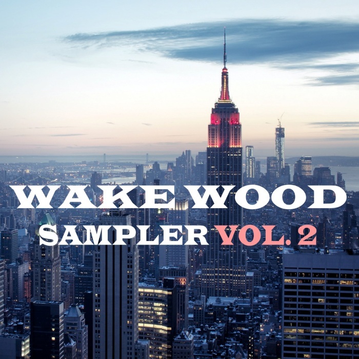 VARIOUS - Wake Wood Sampler Vol 2
