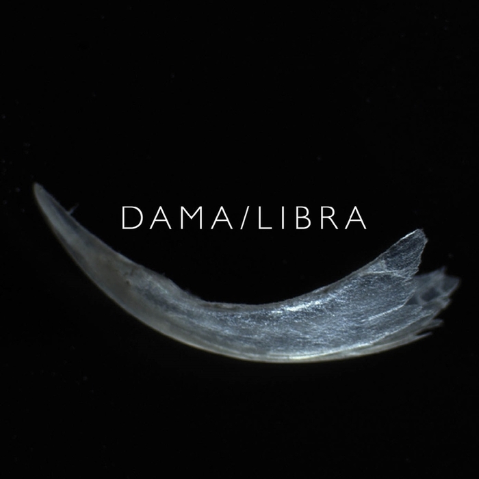 DAMA/LIBRA - Claw