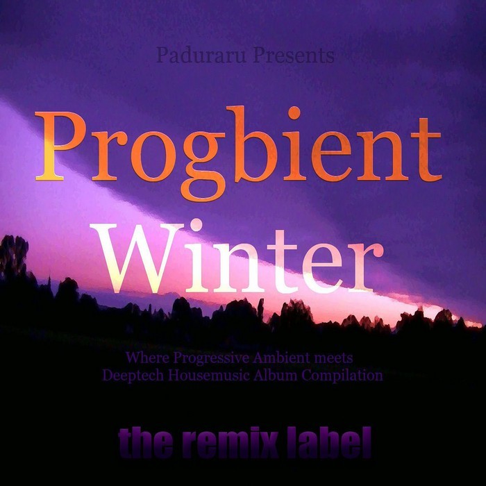 VARIOUS - Progbient Winter (Where Progressive Ambient Meets Deeptech Housemusic Compilation)