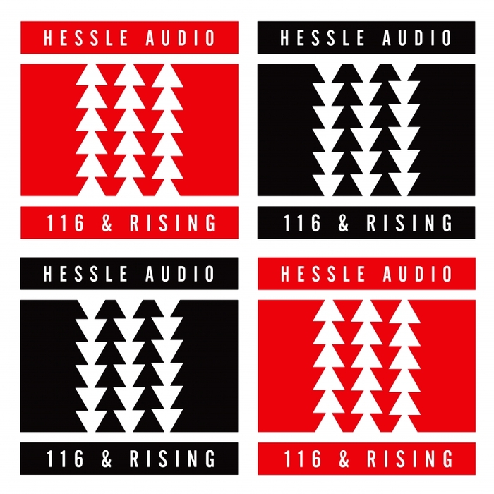 VARIOUS - Hessle Audio 116 And Rising