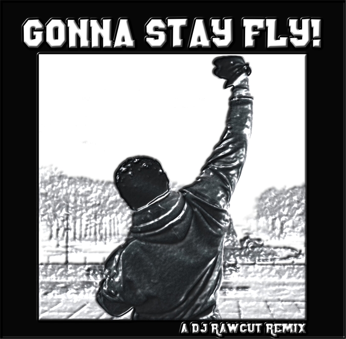 DJ RAWCUT - Gonna Stay Fly