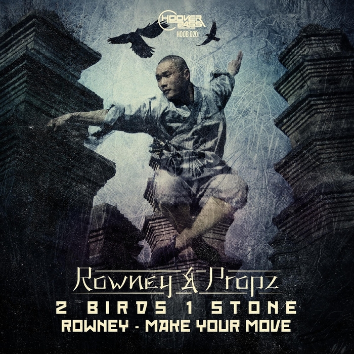 ROWNEY/PROPZ - 2 Birds 1 Stone / Make Your Move