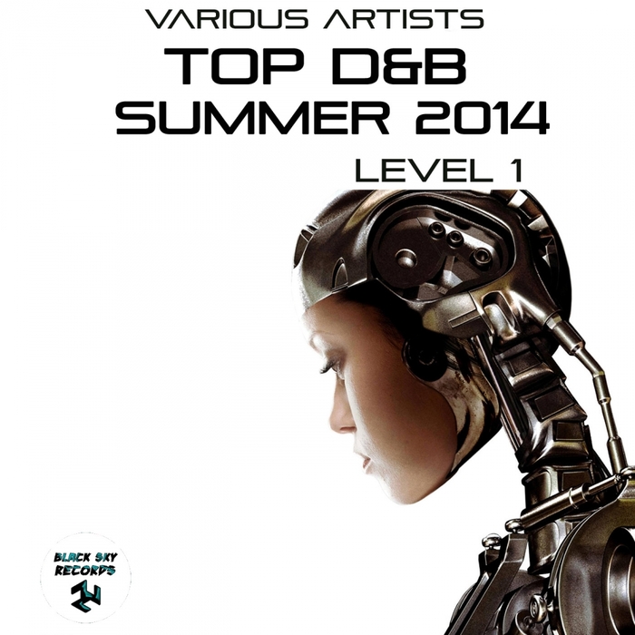 VARIOUS - Top D&B Summer 2014 Level 1
