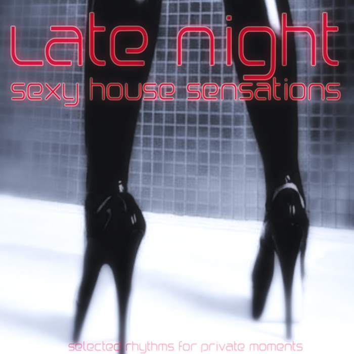 VARIOUS - Late Night: Sexy House Sensations